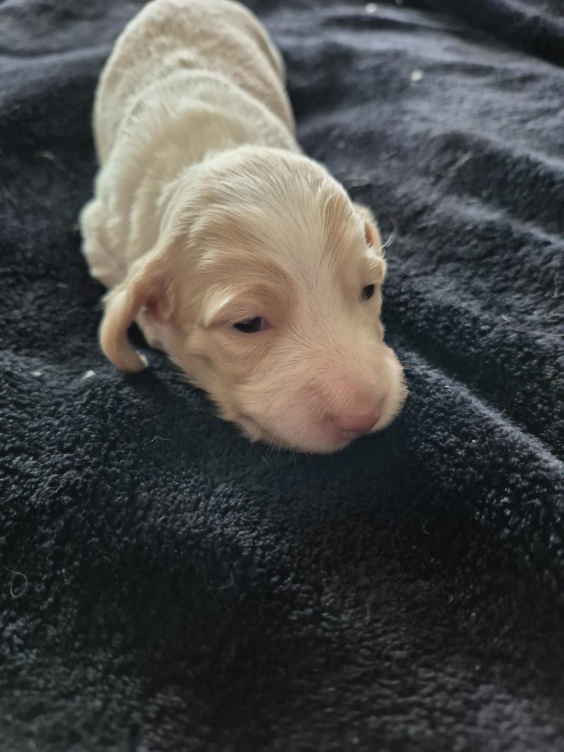 Charlotte at two weeks old