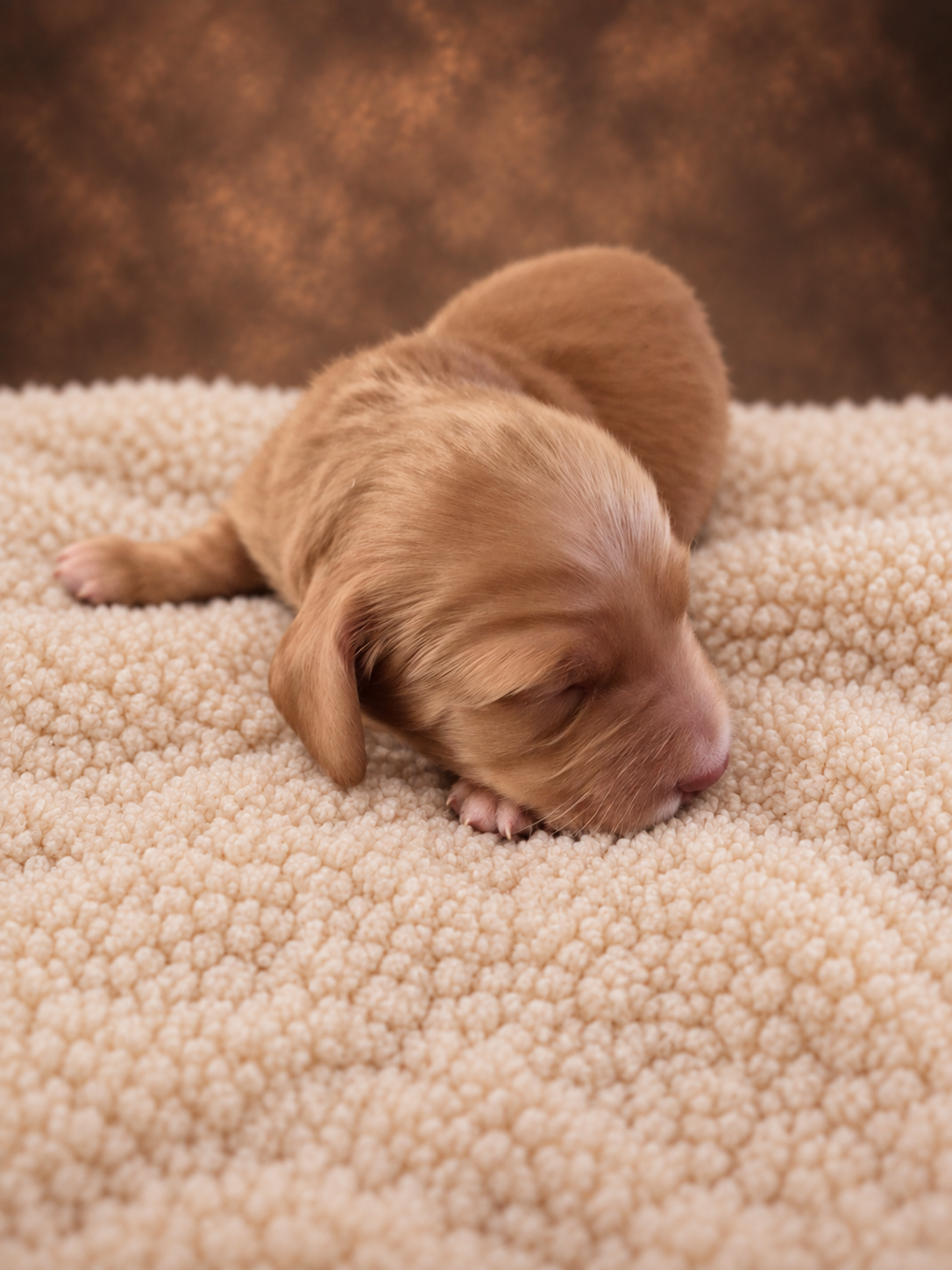 Chase as a newborn