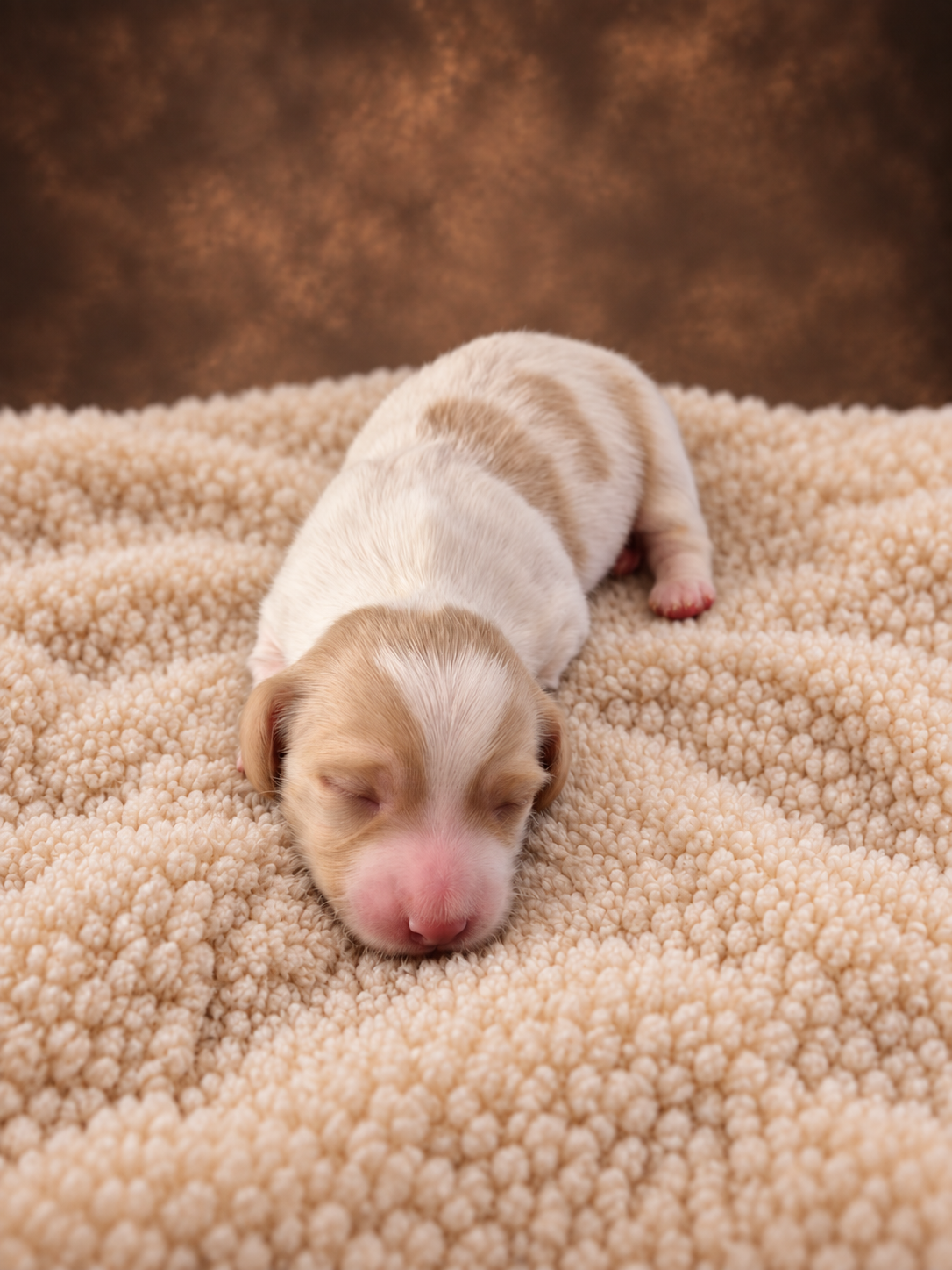 Chloe as a newborn