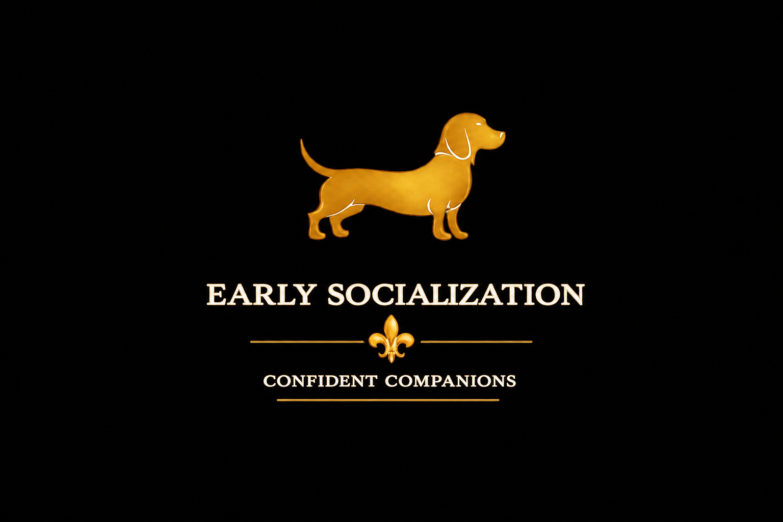 Early Socialization — Confident Companions